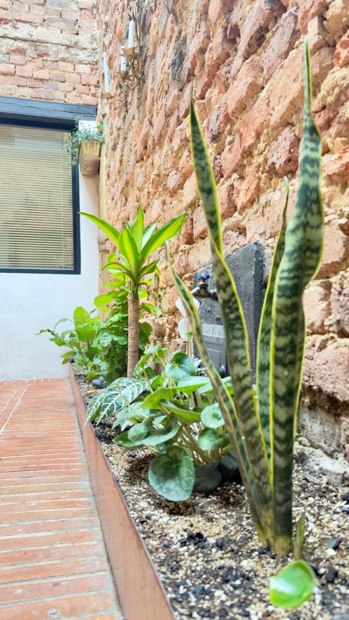 Las Aguas Inn ボゴタ エクステリア 写真